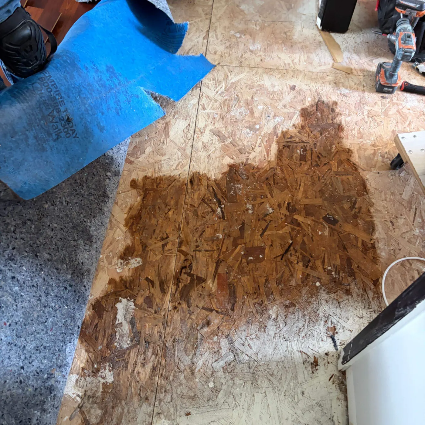 certified water restoration crew on-site in Sycamore Springs, IN